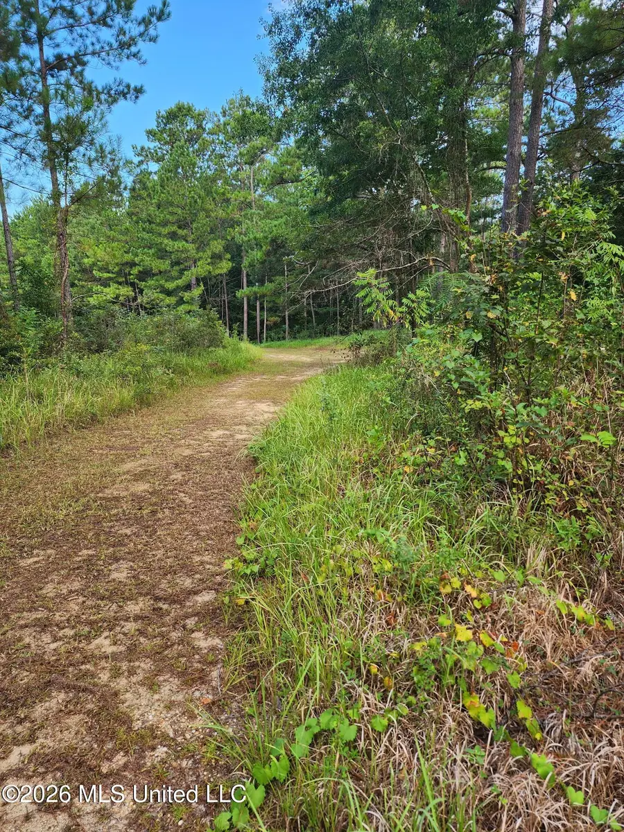 Dogwood Lane, Poplarville, MS 39470 - #2