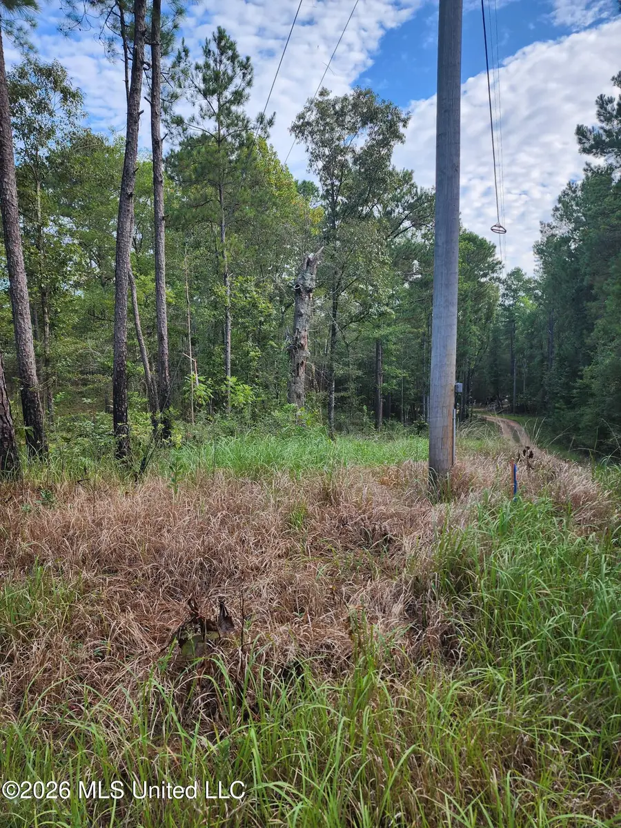 Dogwood Lane, Poplarville, MS 39470 - #3