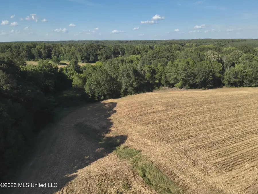 1650 Linwood Road, Vaughan, MS 39179 - #3