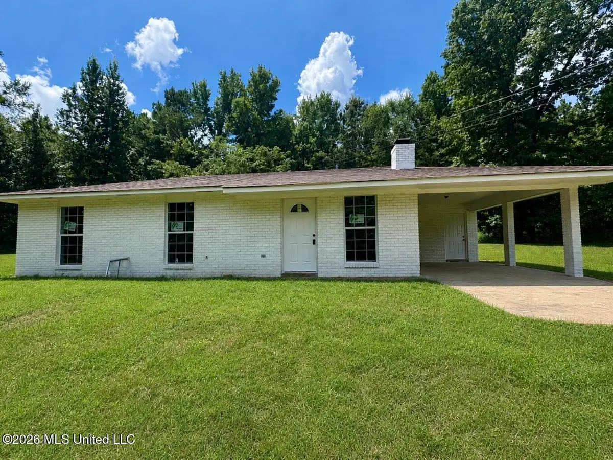 10009 Red Lick Road, Lorman, MS 39096 - #1