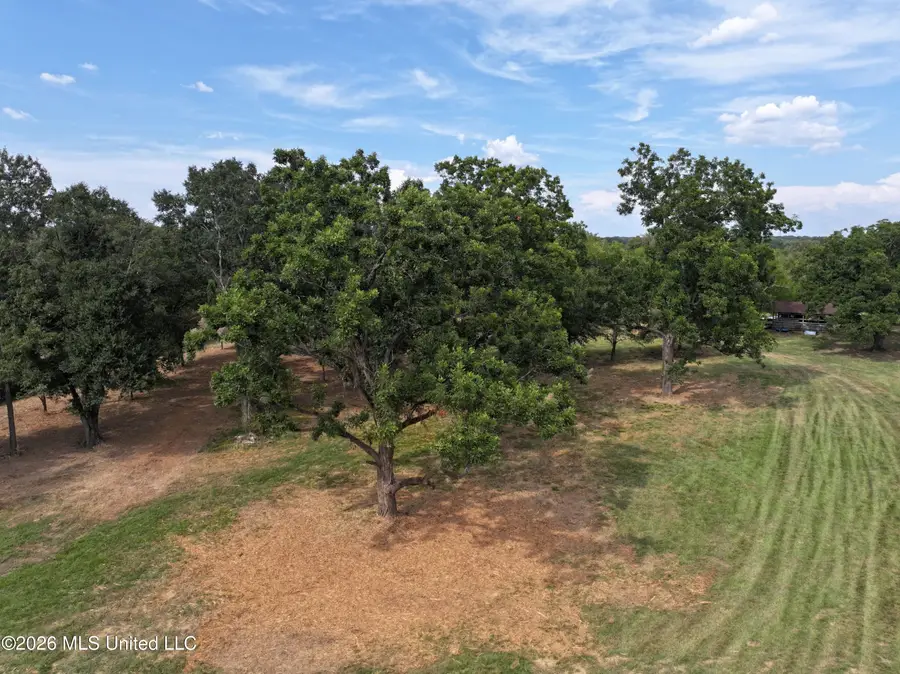 Lot 1 Wildwood, Clinton, MS 39056 - #3