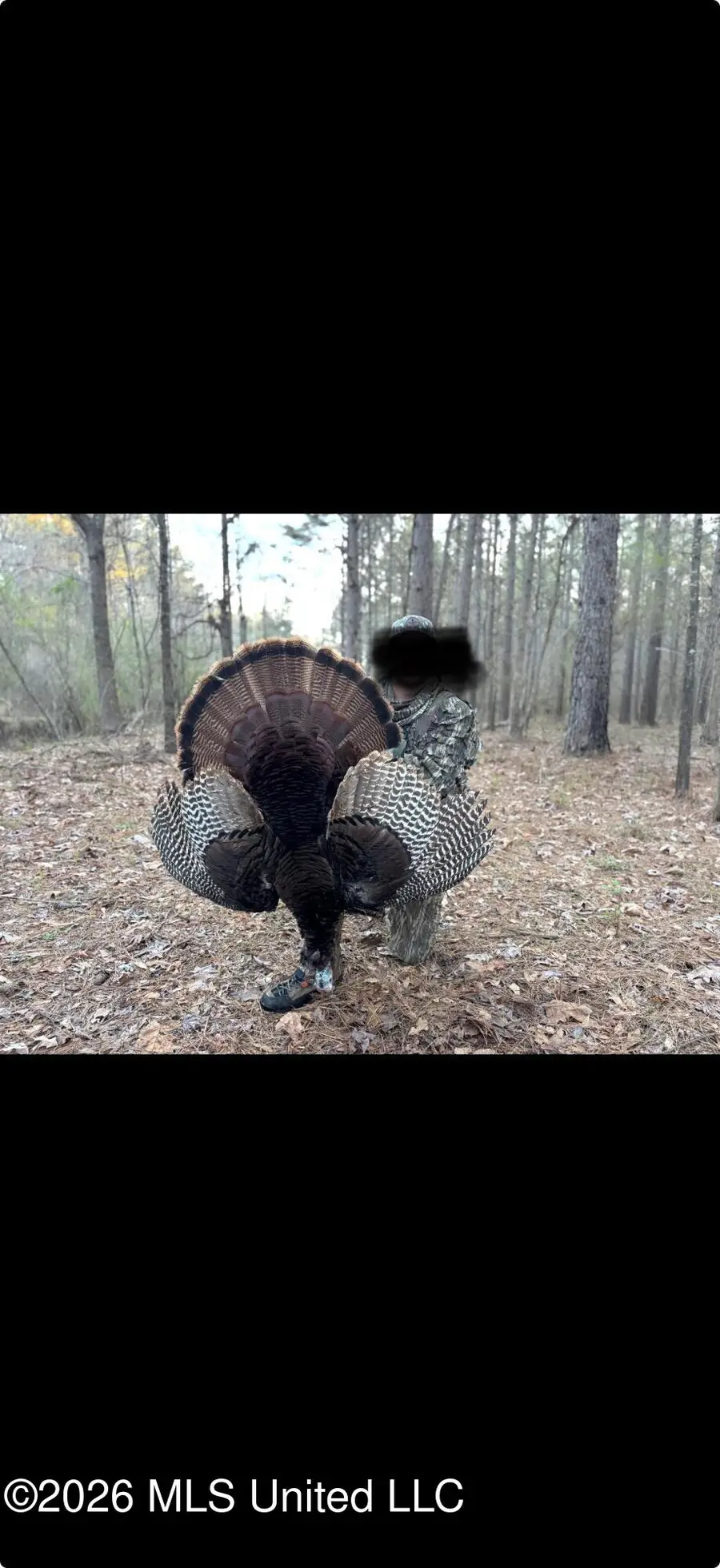 Mississippi 35, Vaiden, MS 39176 - #3