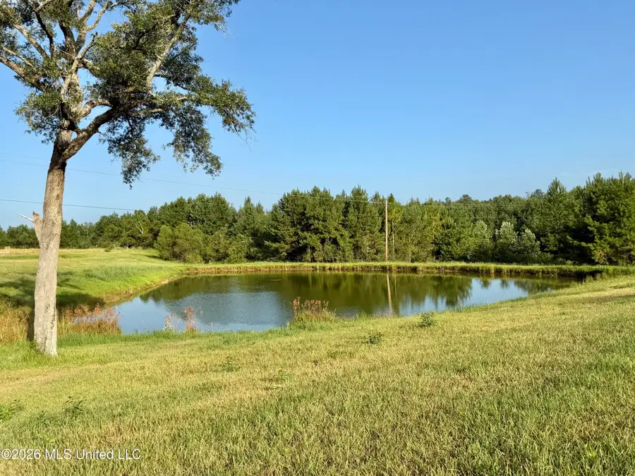 64.9 Acres Neely Avera Road, Neely, MS 39461 - #2