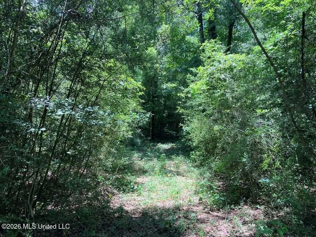 Ms-48, Tylertown, MS 39667 - #1