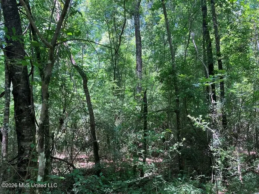 Ms-48, Tylertown, MS 39667 - #2