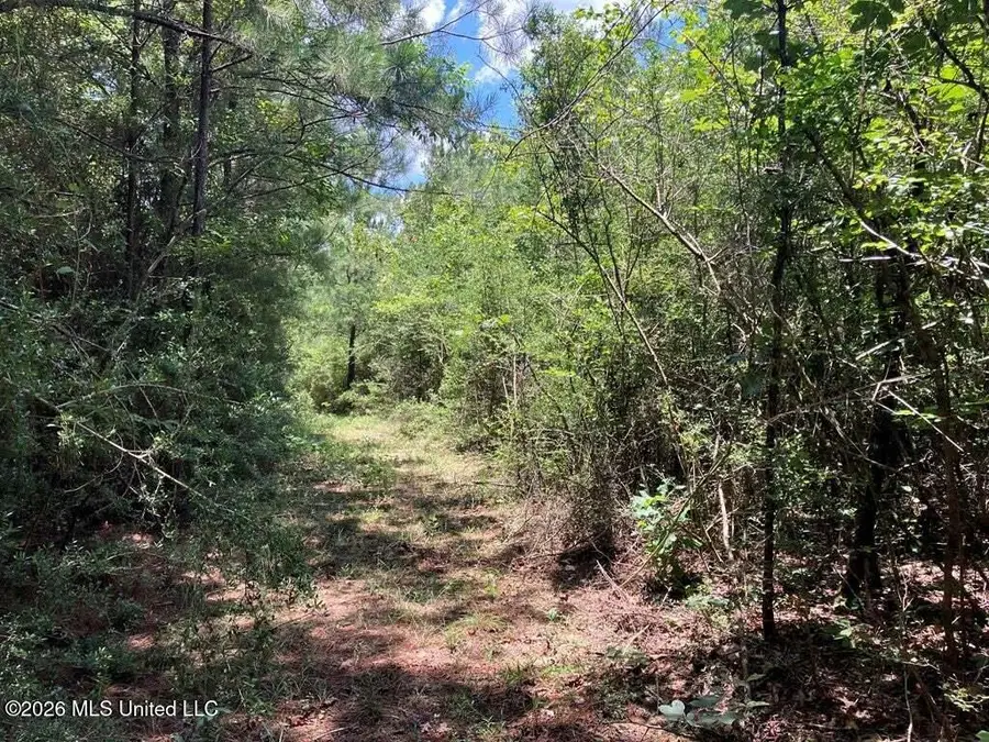 Ms-48, Tylertown, MS 39667 - #3