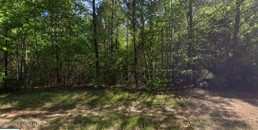 O Leary Road, Camden, MS 39045 - #2