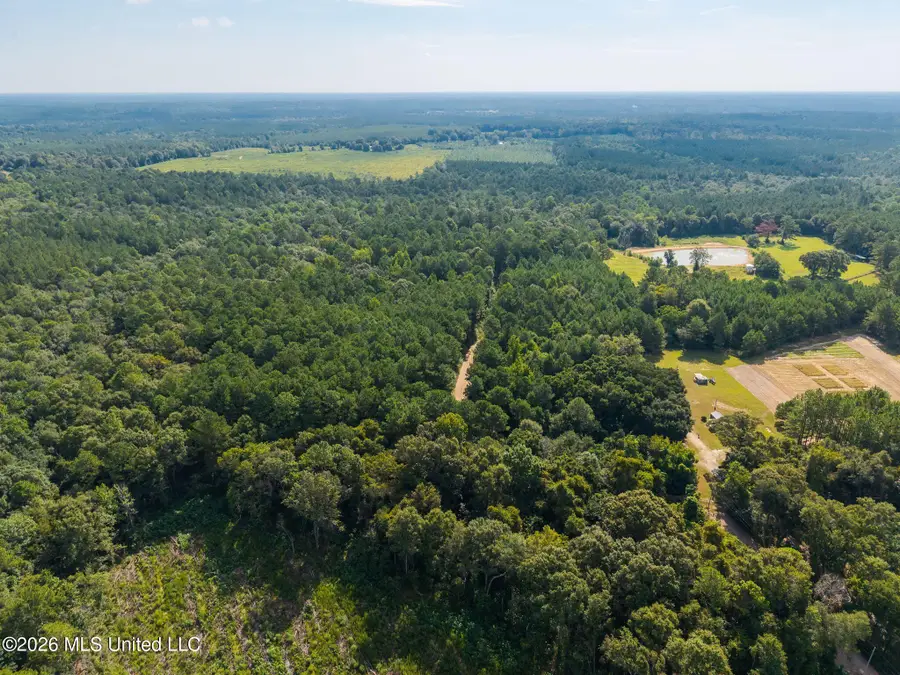 0 Big Hill, Lumberton, MS 39455 - #3