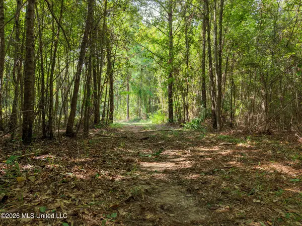 Harvey Road, Carthage, MS 39051