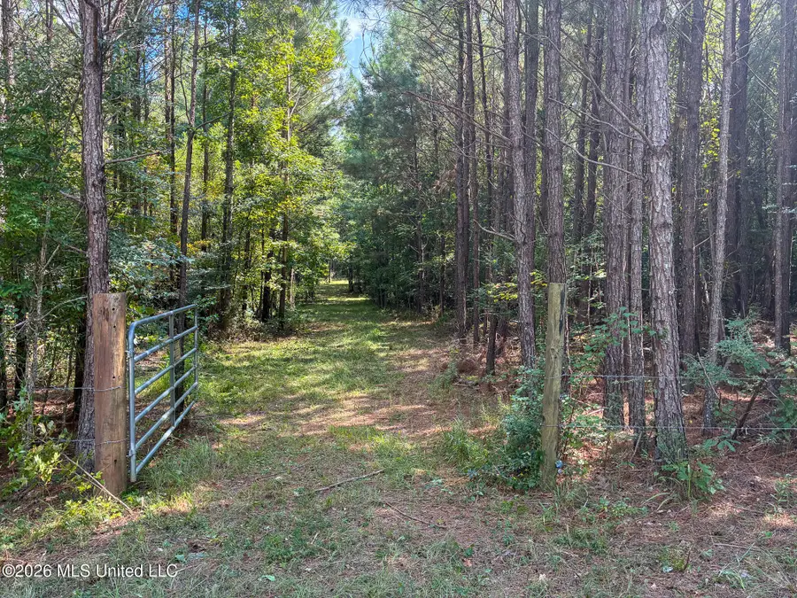 Harvey Road, Carthage, MS 39051 - #2