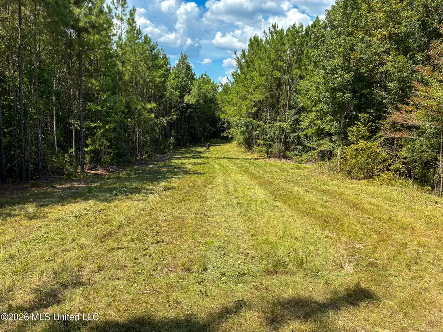 Harvey Road, Carthage, MS 39051 - #3