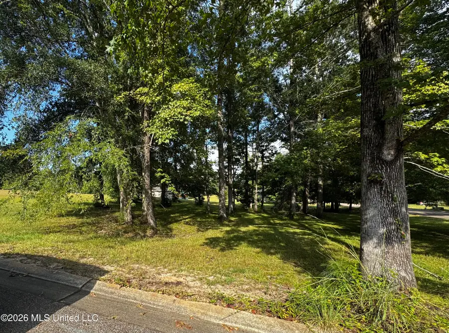 Lot 25 Briar Creek Circle, Laurel, MS 39440 - #3