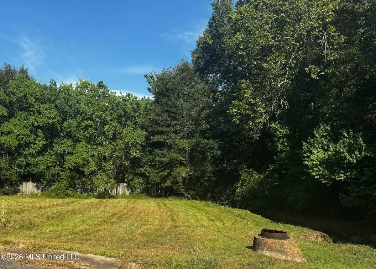Lot 40 Briar Creek Circle, Laurel, MS 39440 - #1