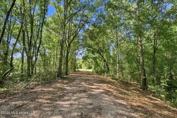 132 Cody Goldman Road, Lucedale, MS 39452