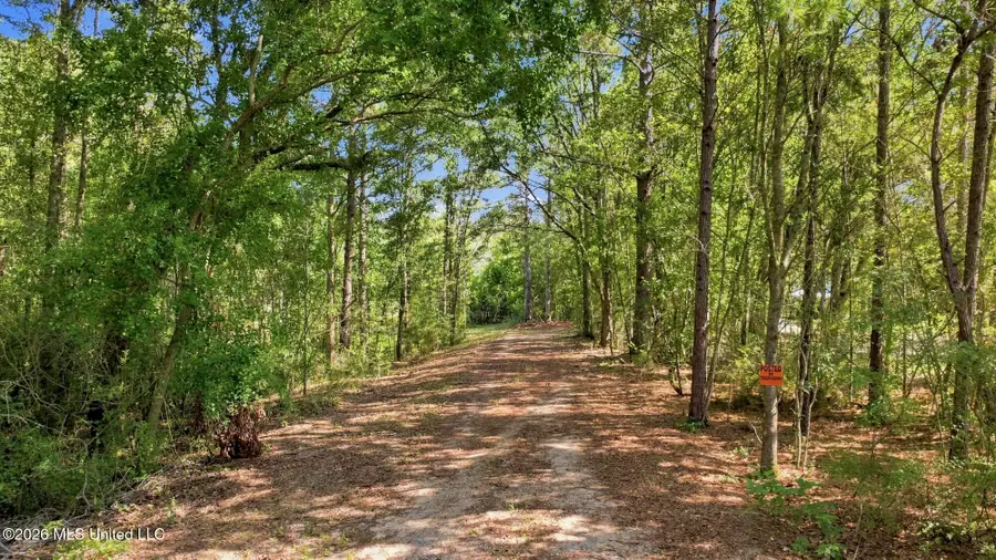 Nhn Cody Goldman Road, Lucedale, MS 39452 - #2