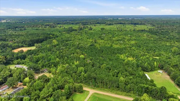 Lot 1 Lottville Road, Canton, MS 39046