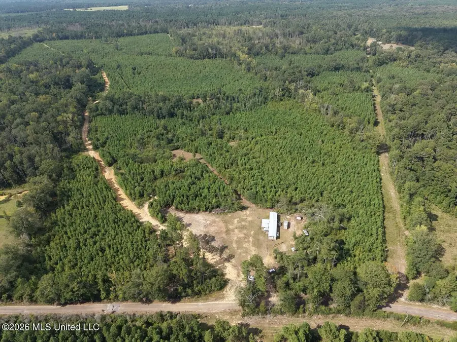 3563 Powell Road, Liberty, MS 39645 - #2