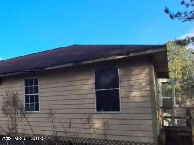 30 County Road 371b, Heidelberg, MS 39439 - #3