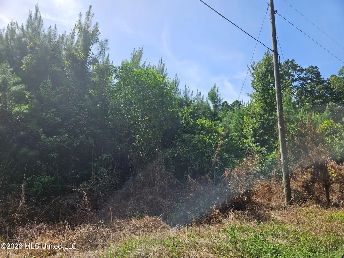 Log Cabin Road, Roxie, MS 39661 - #1