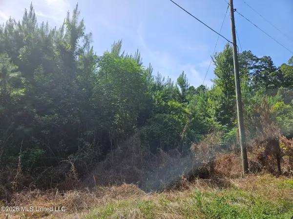 Log Cabin Road, Roxie, MS 39661