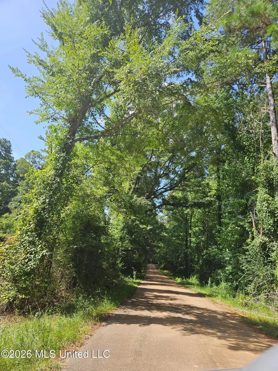 Log Cabin Road, Roxie, MS 39661 - #3