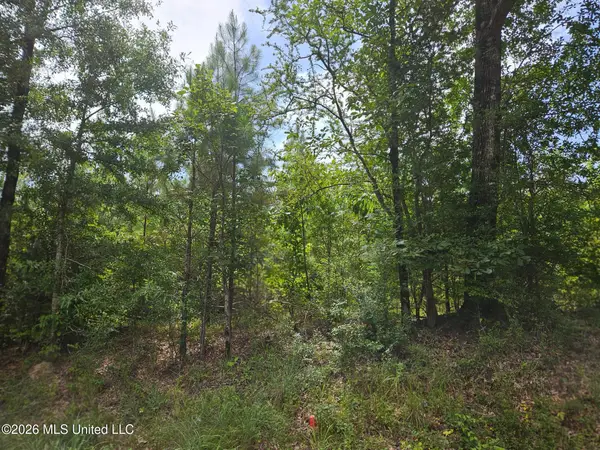 Log Cabin Rd Road, Roxie, MS 39661