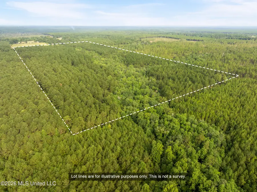 Arthur Lowe Road, Lumberton, MS 39455 - #2
