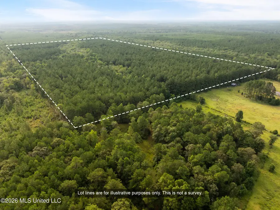 Arthur Lowe Road, Lumberton, MS 39455 - #3