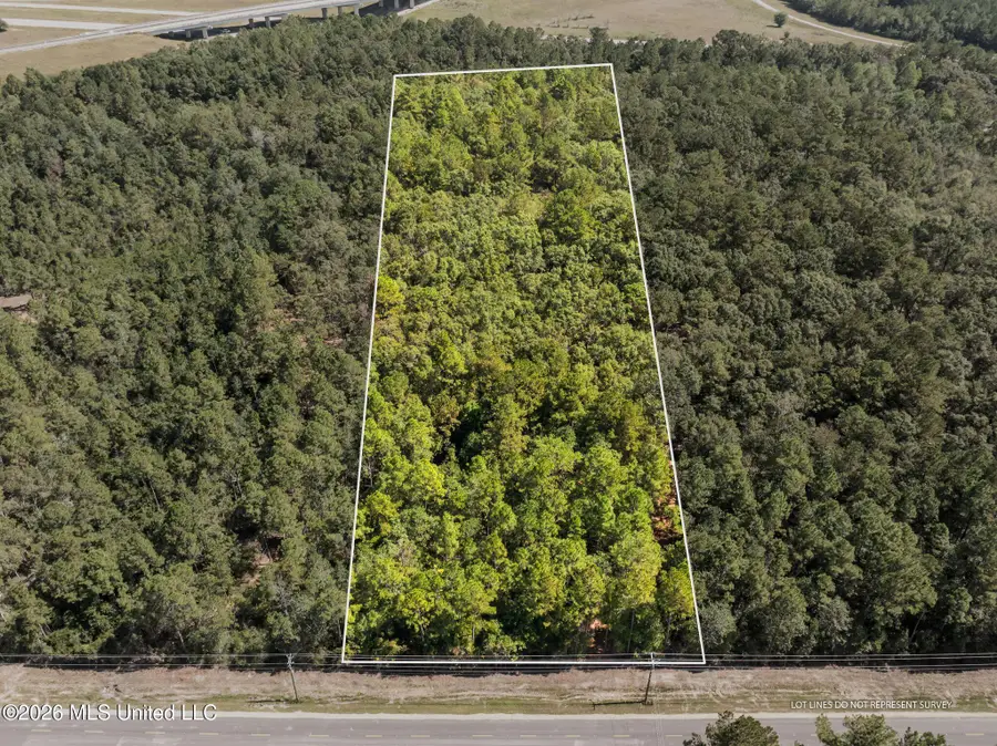 Old Hwy 49, Saucier, MS 39574 - #2