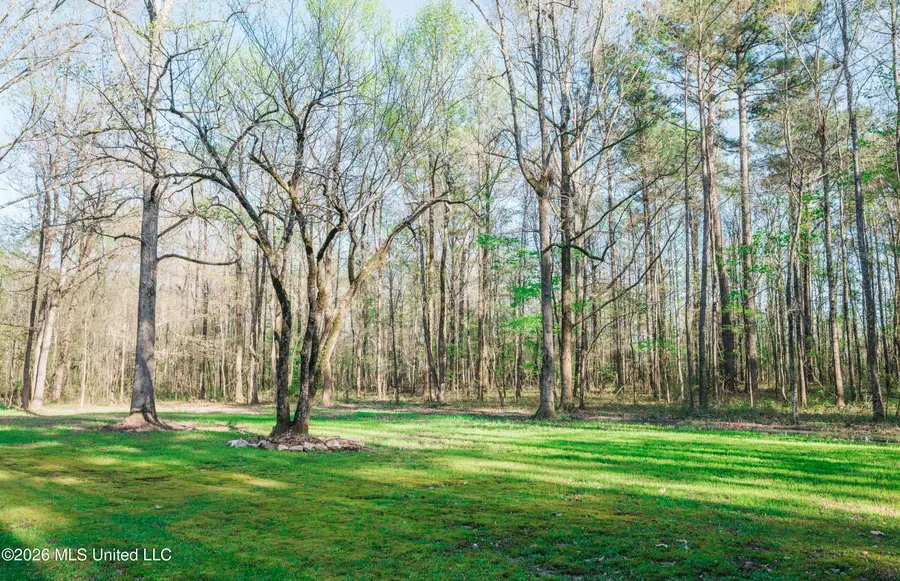 2568 Raymond Williams Road, Sturgis, MS 39769 - #2