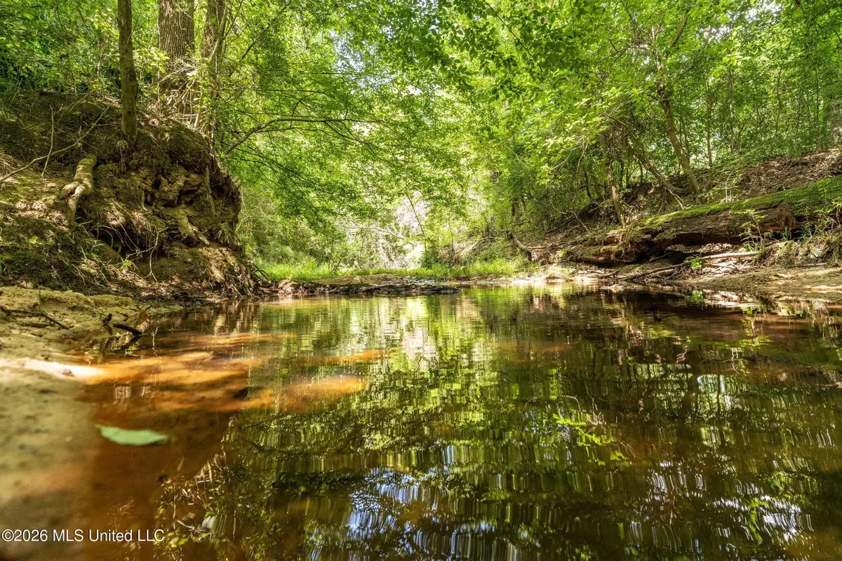 Middle Glading Road, Magnolia, MS 39652 - #1