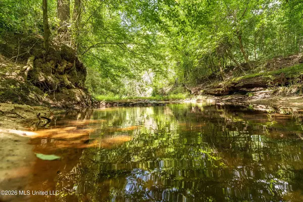 Middle Glading Road, Magnolia, MS 39652