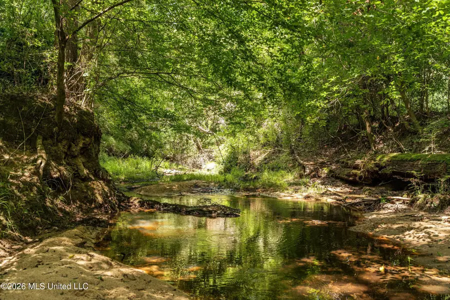 Middle Glading Road, Magnolia, MS 39652 - #3