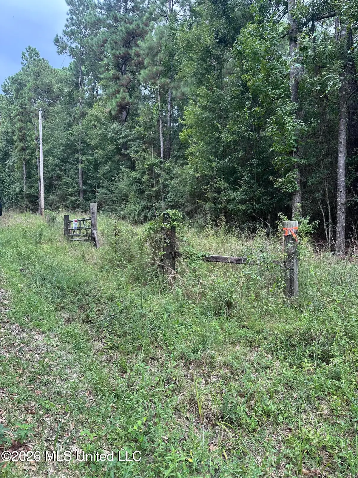 00 Baucum Road, Carriere, MS 39426 - #1