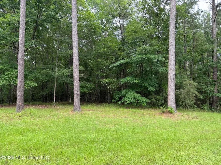 112 Lake Louise Drive, Florence, MS 39073 - #2