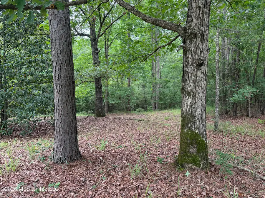 112 Lake Louise Drive, Florence, MS 39073 - #3