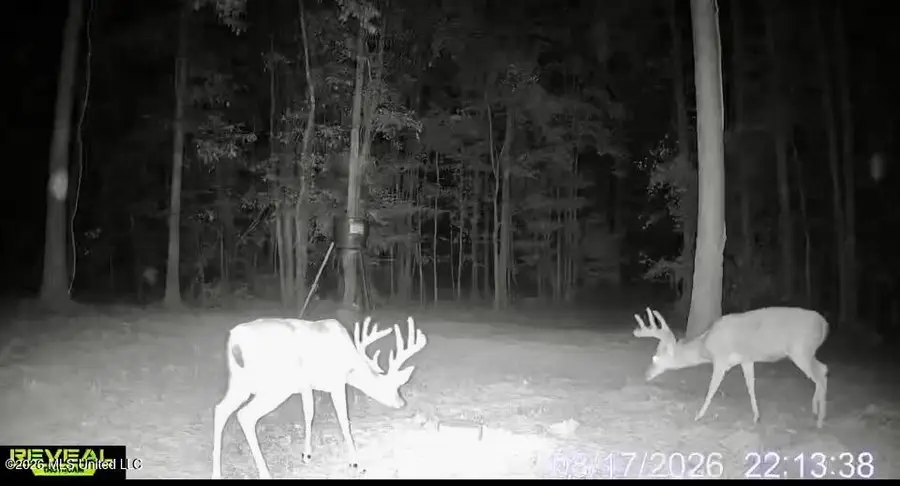11330 Ms-429, Carthage, MS 39051 - #2