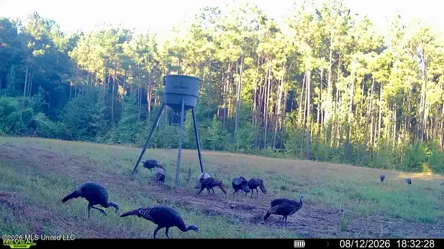 11330 Ms-429, Carthage, MS 39051 - #3