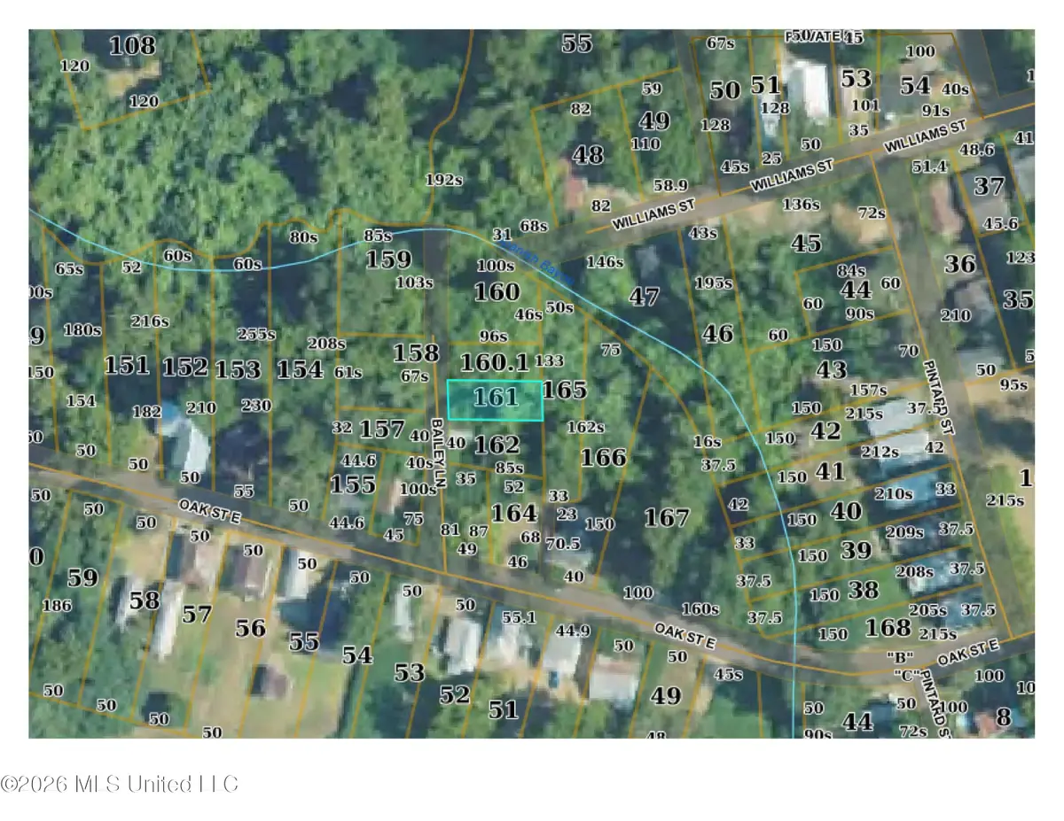 4 Bailey Lane, Natchez, MS 39120 - #1