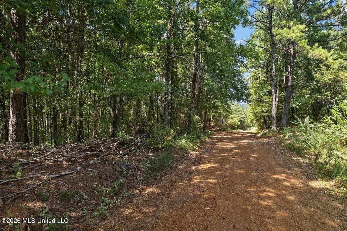 County Rd 177, Carthage, MS 39051 - #1