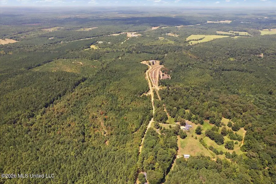 County Rd 177, Carthage, MS 39051 - #2