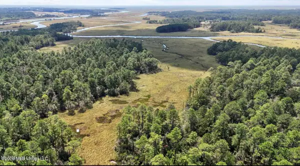 Nhn Stillpoint Road, Pearlington, MS 39572