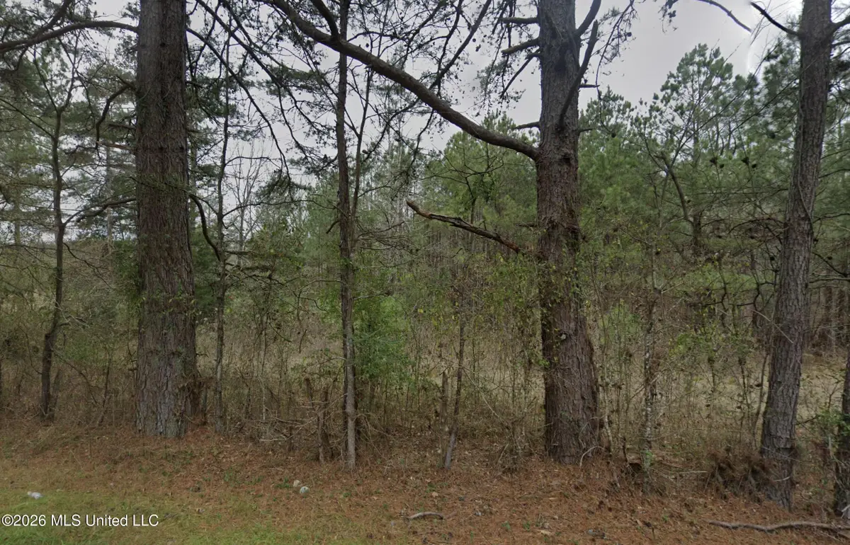 Lot 33 Sleepy Hollow Road, Terry, MS 39170 - #1