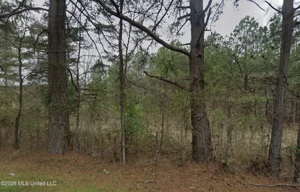 Lot 33 Sleepy Hollow Road, Terry, MS 39170