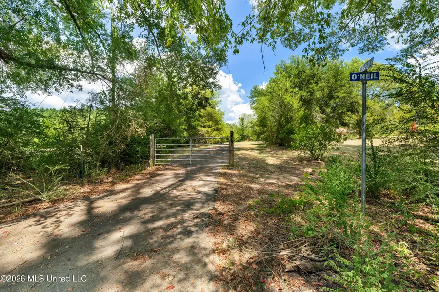 3751 Mound Road, Wesson, MS 39191 - #2