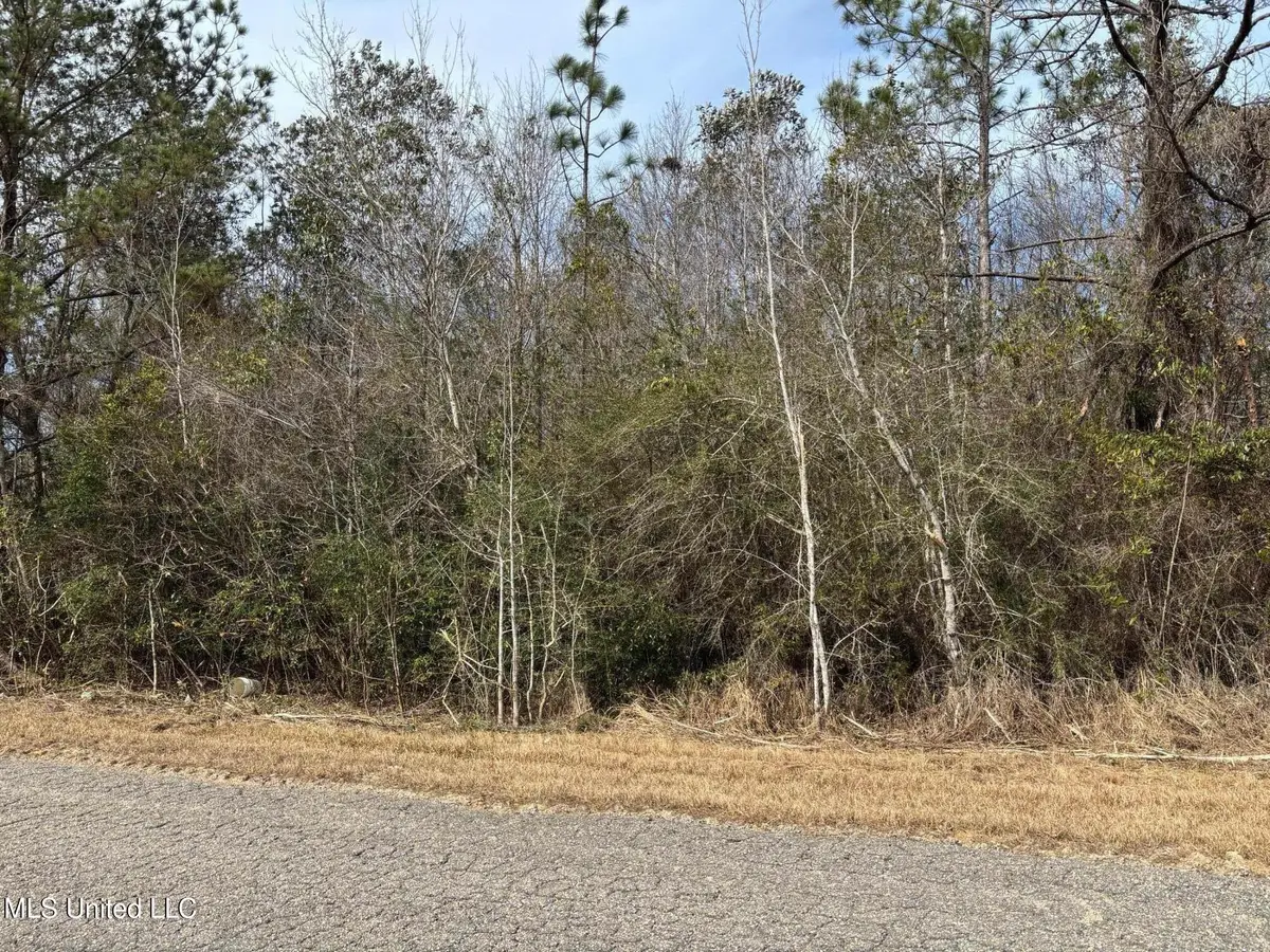 00 Crestwick St. Street, Saucier, MS 39574 - #1