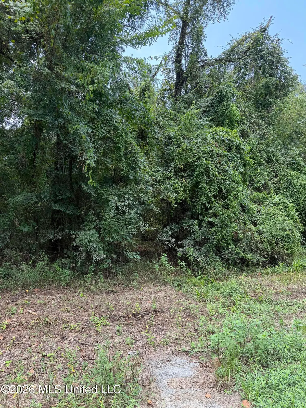 Lot 4 Pascagoula River Drive, Lucedale, MS 39452 - #1