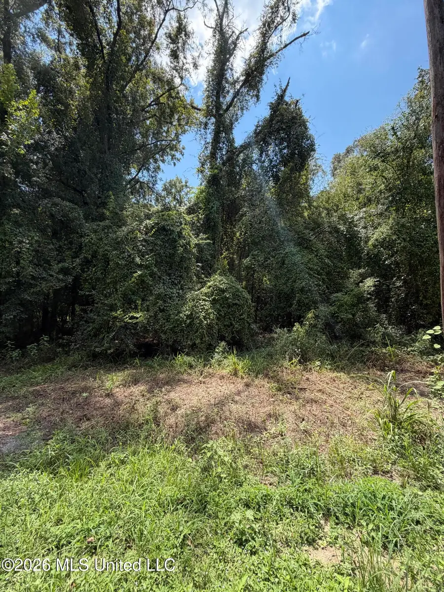 Lot 4 Pascagoula River Drive, Lucedale, MS 39452 - #2