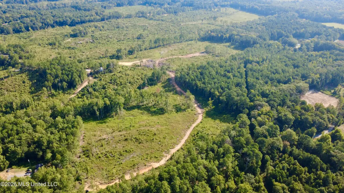 Terry Road, Kosciusko, MS 39090 - #1
