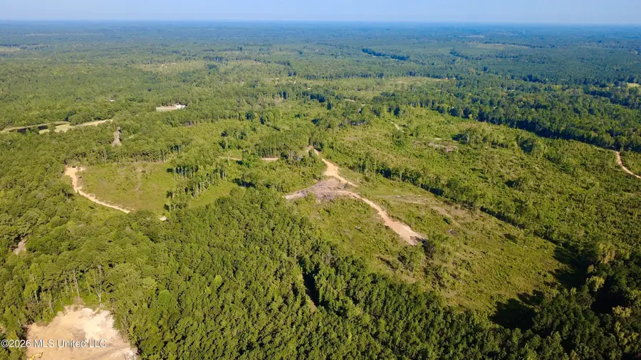 Terry Road, Kosciusko, MS 39090 - #2